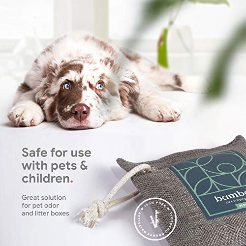Bamboo Charcoal Air Purifying Bags 4x