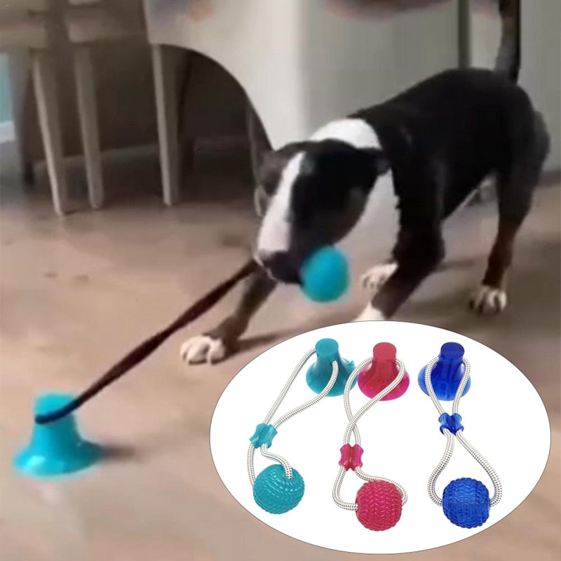 Pet Suction Cup Chew Toy