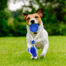 Pet Suction Cup Chew Toy