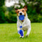 Pet Suction Cup Chew Toy