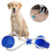 Pet Suction Cup Chew Toy