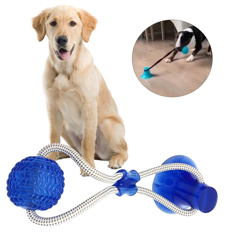 Pet Suction Cup Chew Toy